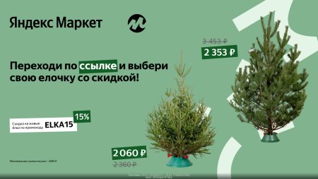 🎄Забирайте скидку 15% на елки!